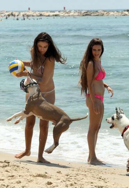 הלחות תעלה ויהיה הביל במישור החוף // צילום: גדעון מרקוביץ'