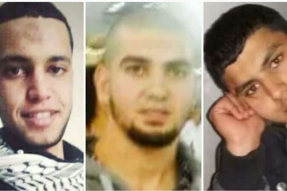 "נקמה למען דתו של אללה וקדושת המוסלמים". אוסמה עטא, עאדל ענכוש וברא סאלח ,