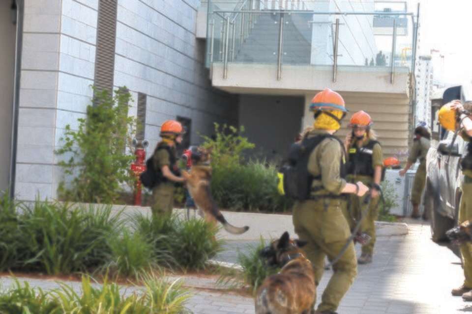 כוחות כיבוי והצלה בזירה // צילומים: יוסי זליגר , 