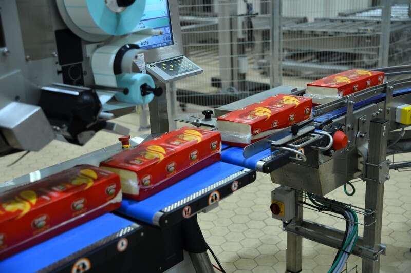 מפעל מחלבות גד // צילום: יוסי זליגר