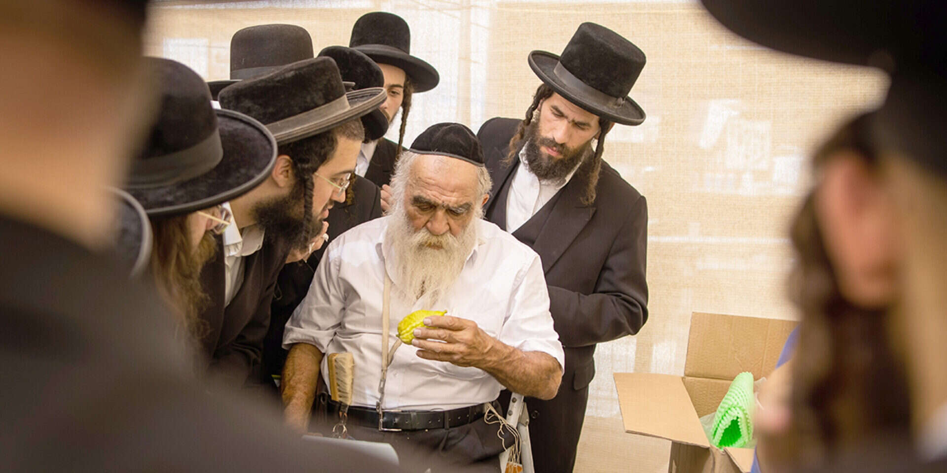 ירושלים בחגים. אזור חנייה לאומי , אורן בן חקון