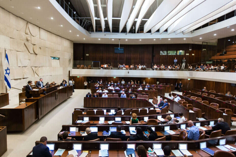 מליאת הכנסת , דודי ועקנין