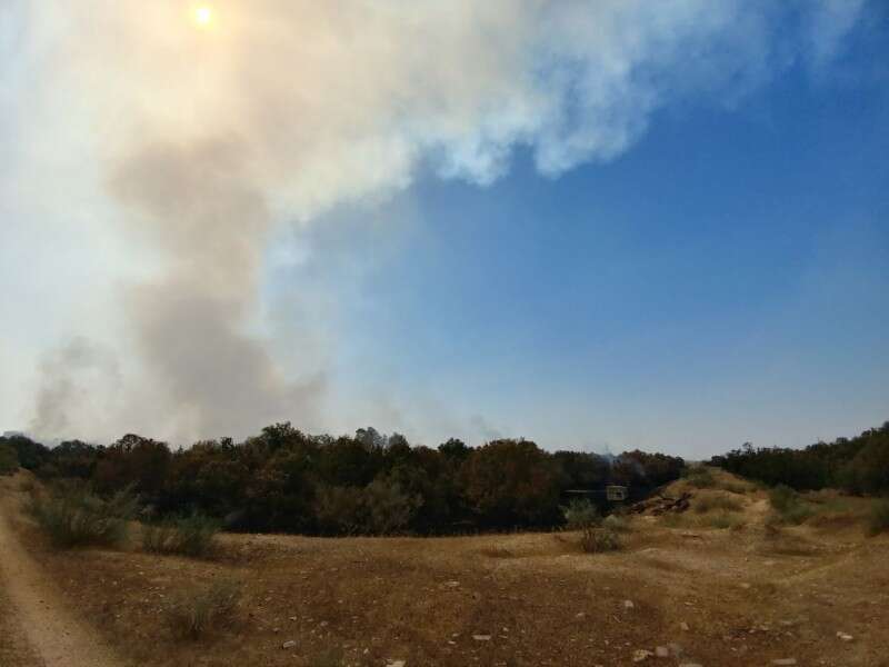הדליקה בברכות החמצון באשדוד // צילום: המשרד להגנת הסביבה