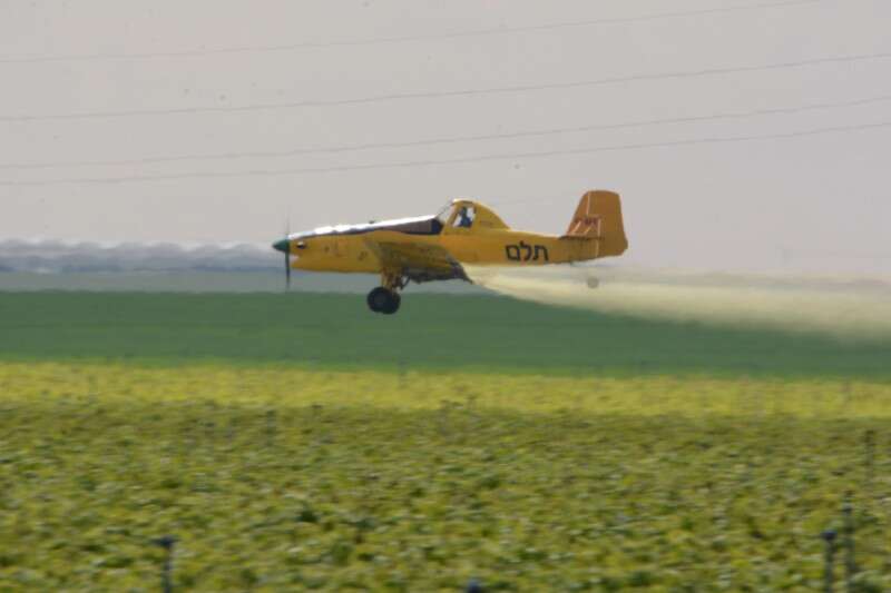 ריסוס יבולים חקלאיים בישראל // צילום: דודו גרונשפן