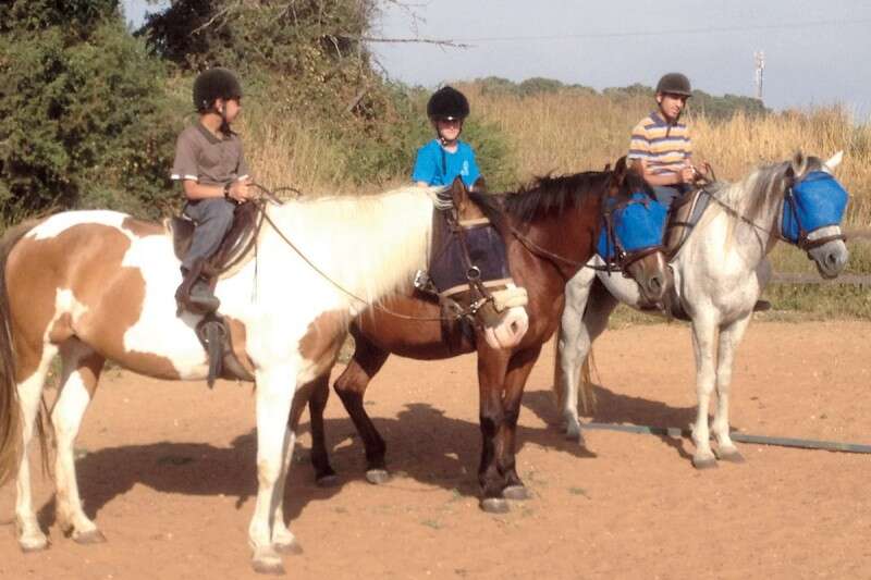 חוות סוסי אדמה