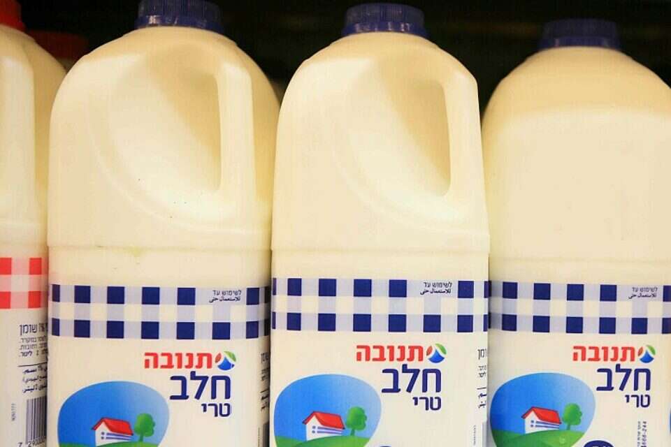 חלב תנובה , יהושע יוסף