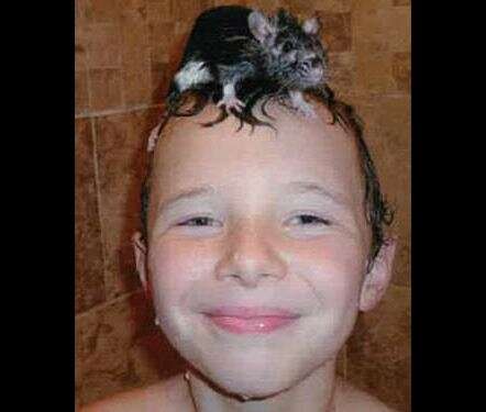 איידן ביקש מסבתו "חבר" לחולדה הנקבה שלו // צילום: פייסבוק