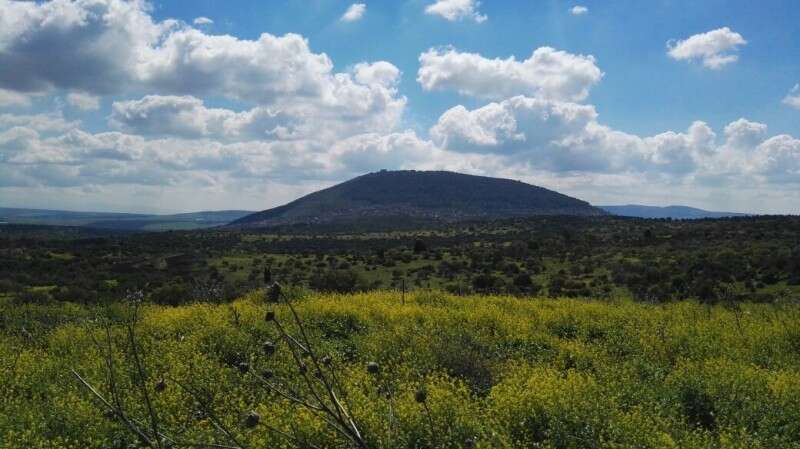מזג אוויר אביבי בהר הגלבוע// צילום: נטע בר