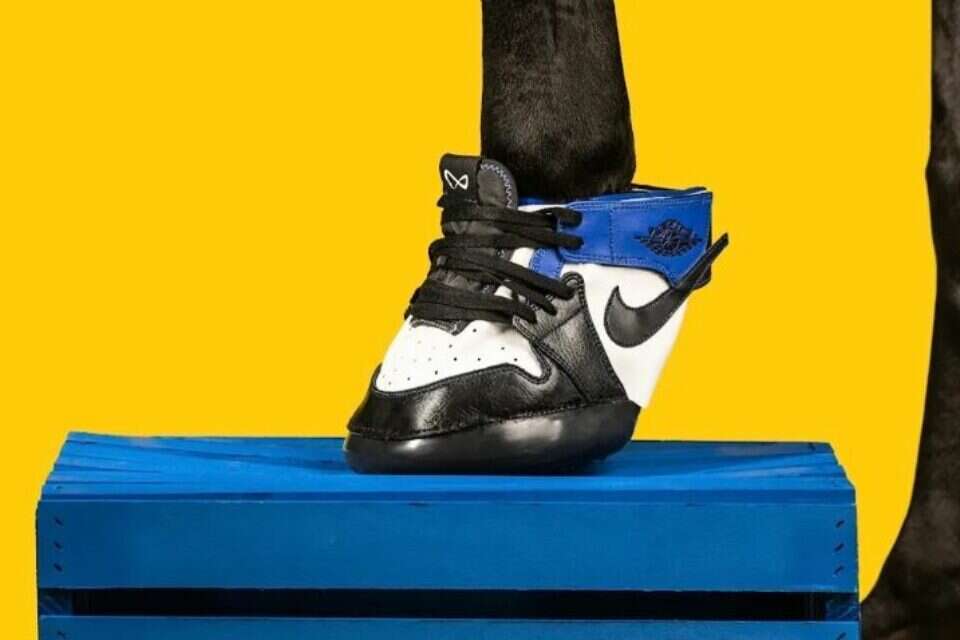 דוהרים בסטייל נעלי מעצבים גם לסוסים ישראל היום