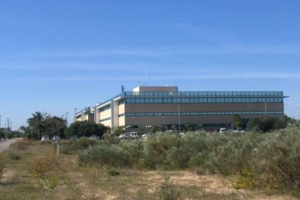 צילום: // ,