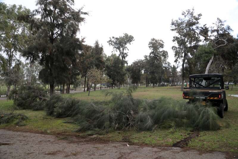 פגעי מזג האוויר בתל אביב // צילום: גדעון מרקוביץ'