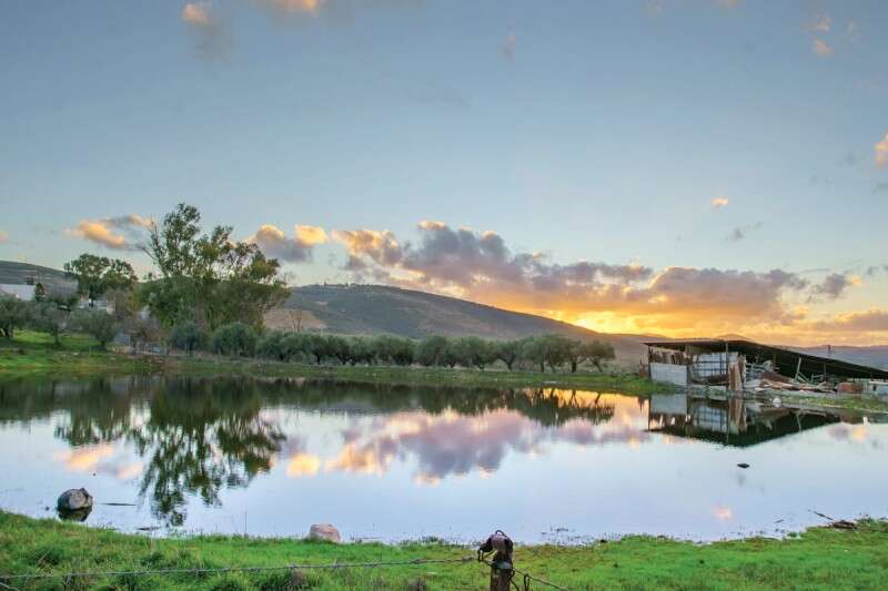 בריכת ריחאניה בגליל העליון. אחרונת הבריכות החקלאיות בכפרים הערביים // צילום: גוש אנצ'ו גיני