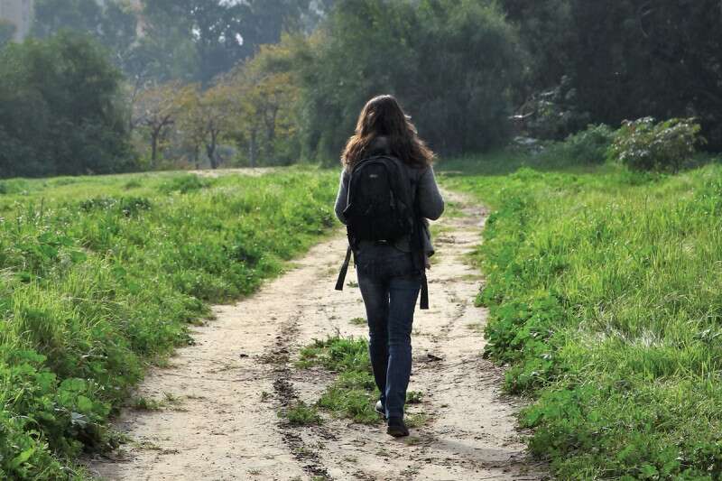 השלולית מאחורי מרכז שוסטר ברמת אביב. שבילים ציוריים // צילום: לירון אלמוג