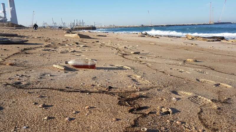 הכתם // צילום: המשרד להגנת הסביבה