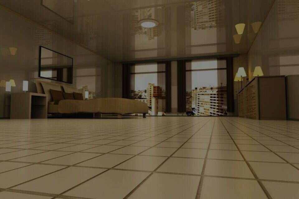 צילום: // ,