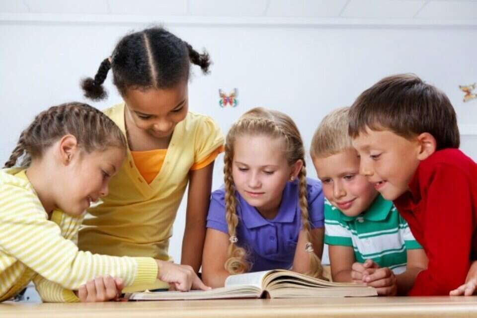 צילום: // ,