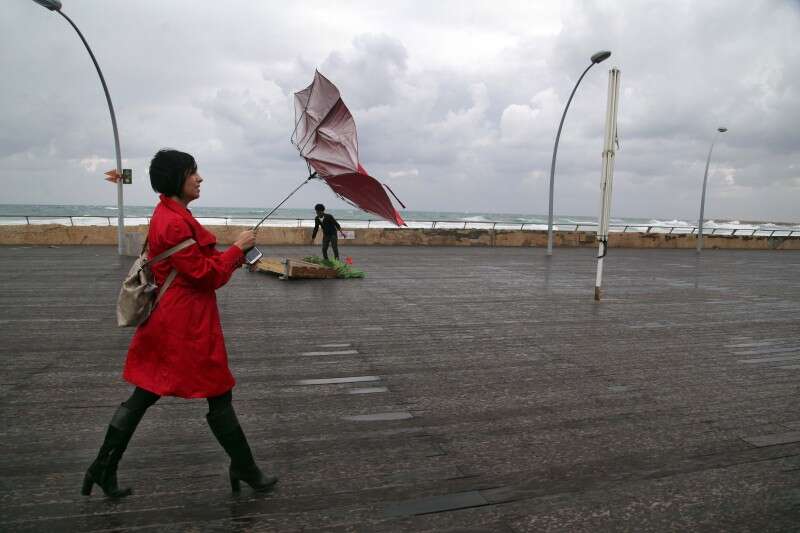 סוער בנמל תל אביב // צילום: גדעון מרקוביץ'