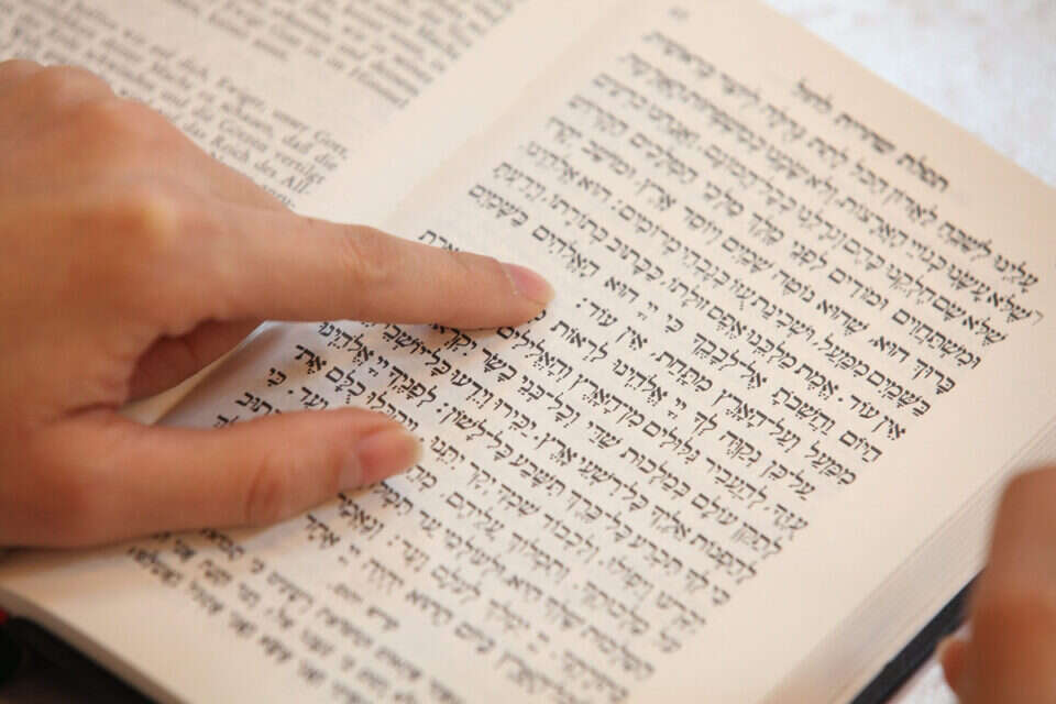אילוסטרציה // צילום: GettyImages // אילוסטרציה // צילום: GettyImages ,