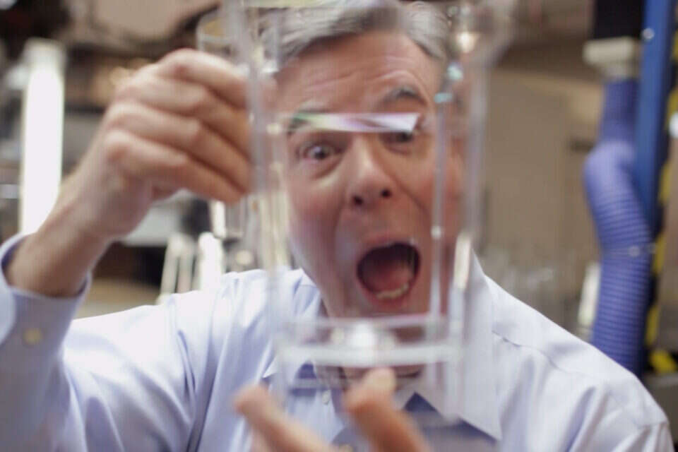 צילום: // ,
