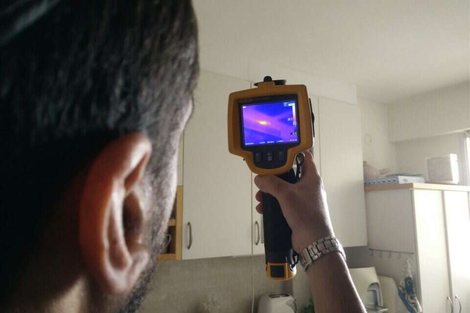 צילום: // ,