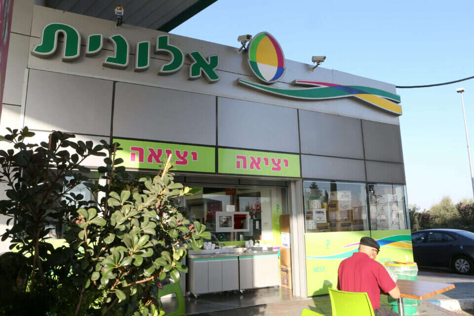אלונית , ללא