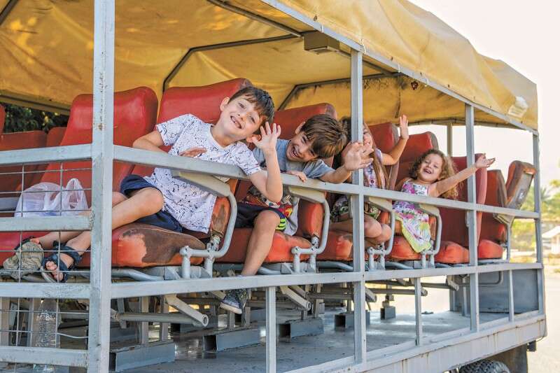 סיור בעגלה המחוברת לטרקטור בשבילי קיבוץ גינוסר. עשרה שקלים לאורחי המלון