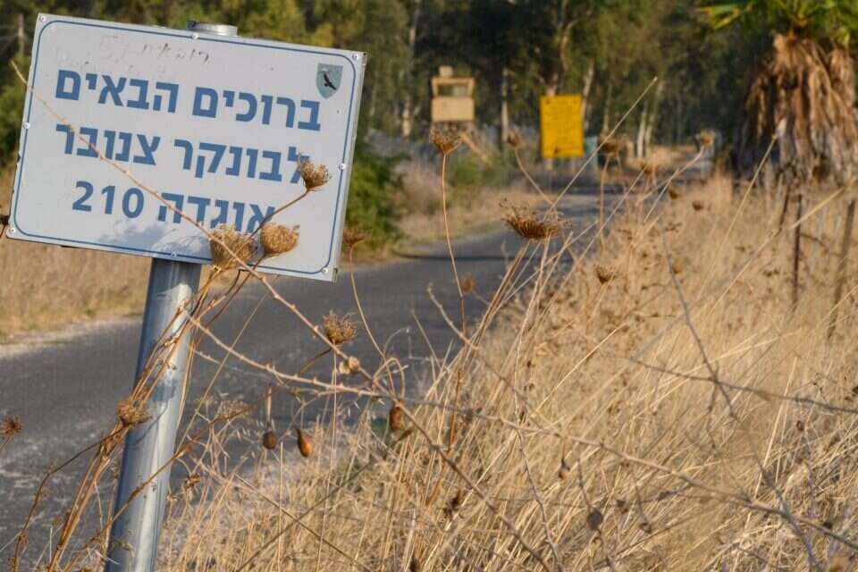 כביש הגישה למחנה צנובר שברמת הגולן , אייל מרגולין - ג'יני