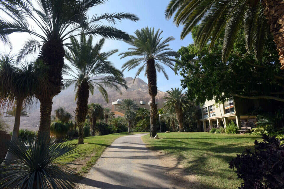 קיבוץ עין גדי // צילום: דודו גרינשפן // קיבוץ עין גדי // צילום: דודו גרינשפן ,