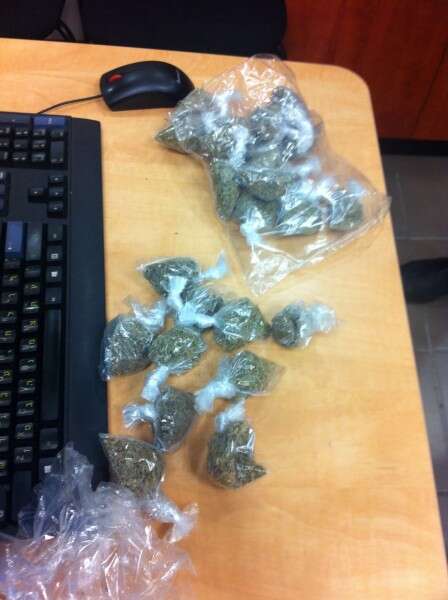 מריחואנה שנתפסה // צילום: דוברות המשטרה