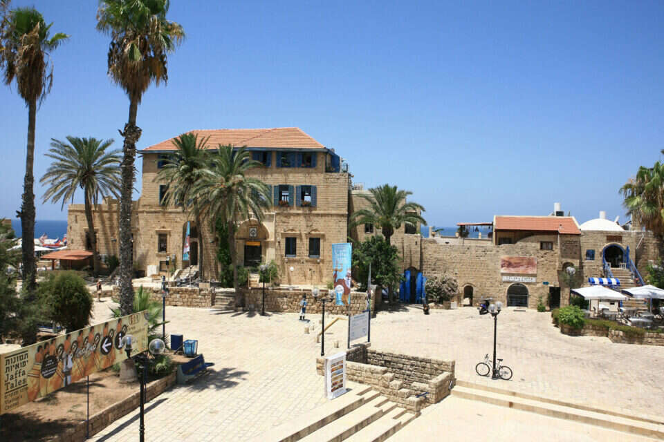 צילום: לירון אלמוג // צילום: לירון אלמוג , 
