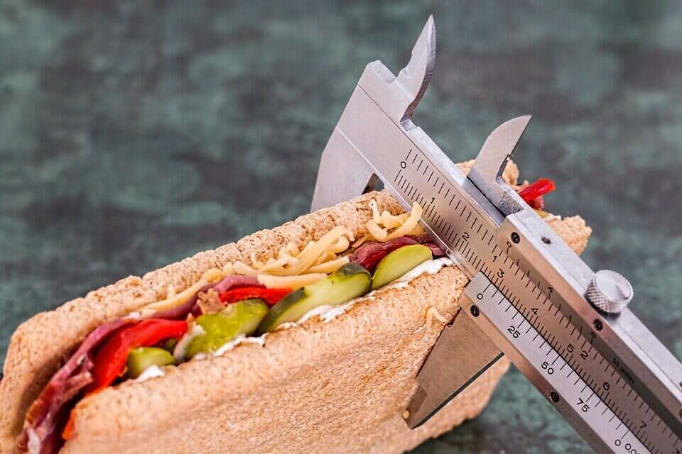 צילום: // ,