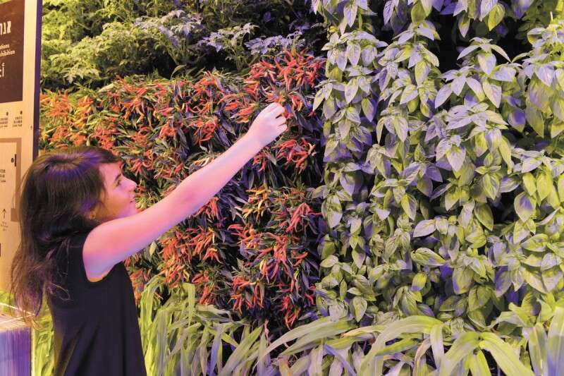 מוזיאון המדע ע"ש בלומפילד ירושלים. מתוך התערוכה "שדות המחר" // צילום: אבי חיון