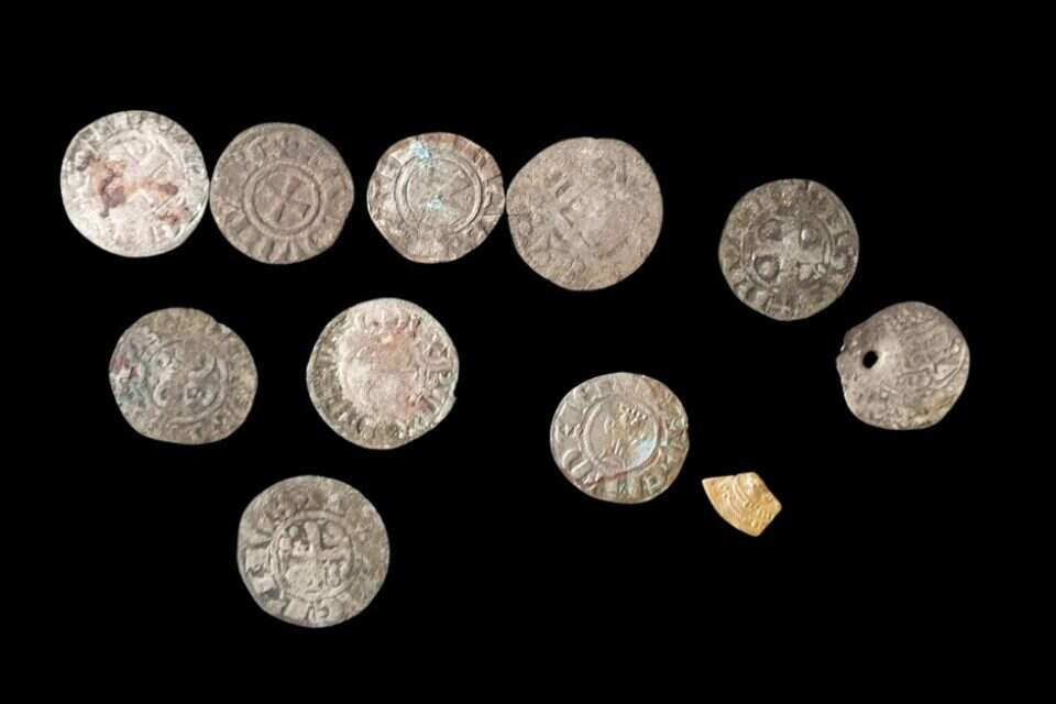מטבעות שאותרו בביתו של חשוד בגניבת עתיקות , ניר דיסטלפלד, רשות העתיקות