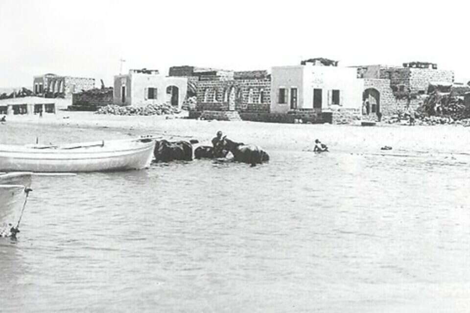 צילום: מתוך ויקיפדיה // ,