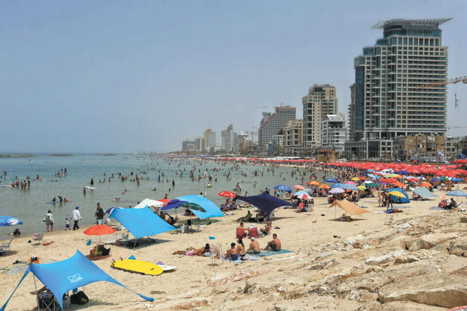 אילוסטרציה  //  צילום: קוקו // אילוסטרציה , 