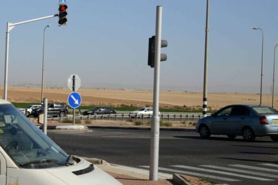 שגב שלום , דודו גרינשפן