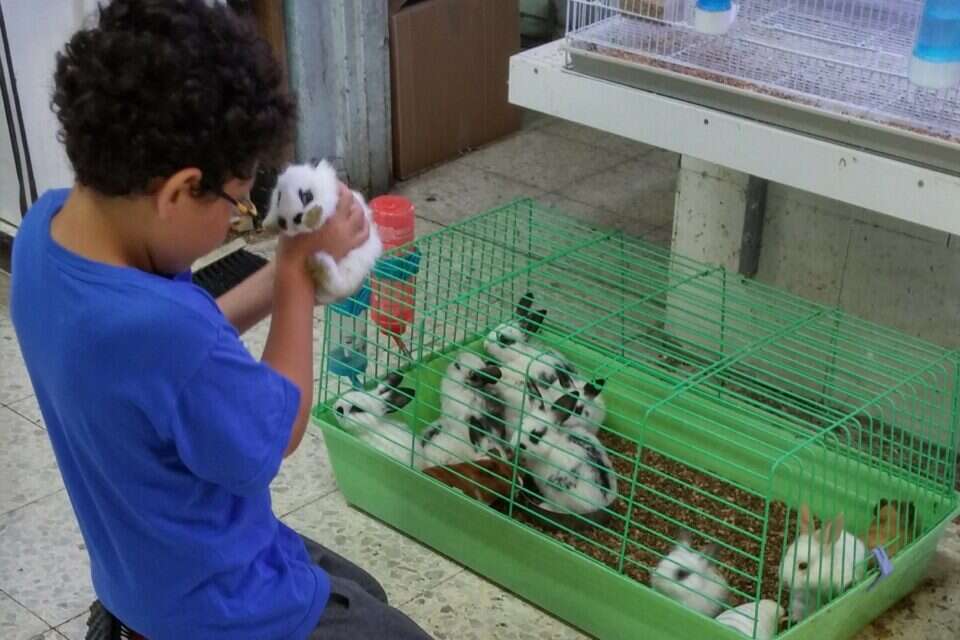 צילום: // ,