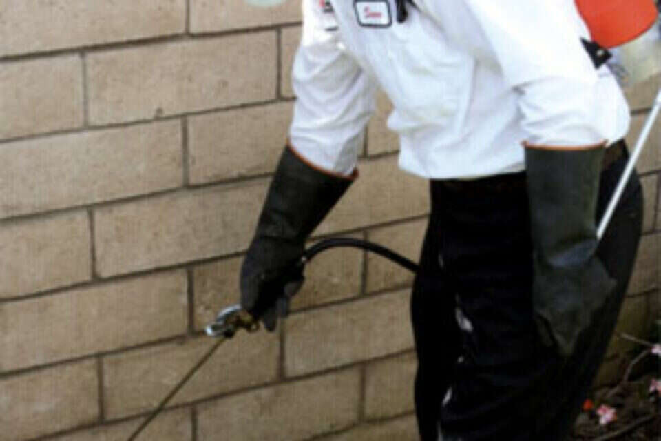 צילום: הדברה במערכת הביוב // הדברה במערכת הביוב ,