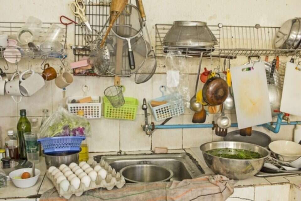 צילום: shutterstock // shutterstock ,