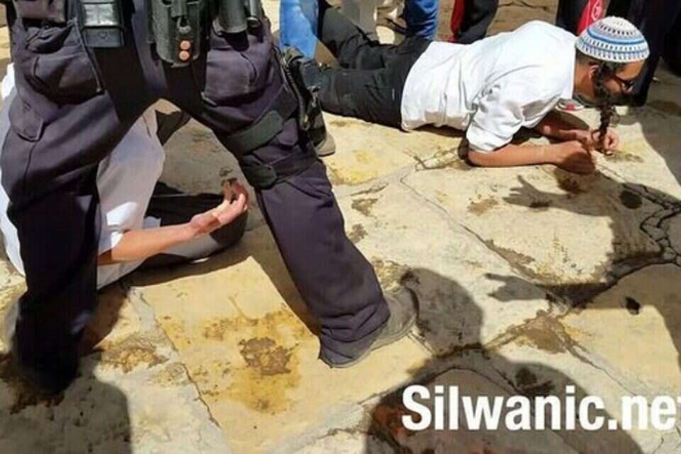מבקרים יהודים משתטחים על הקרקע  // מבקרים יהודים משתטחים על הקרקע  , 