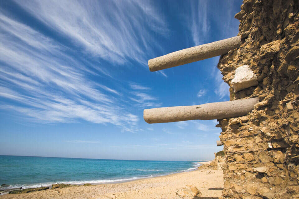צילום: דורון ניסים // ,