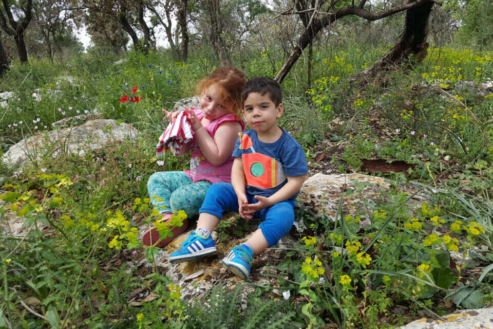 צילום: עמרי ליבנה // צילום: עמרי ליבנה ,