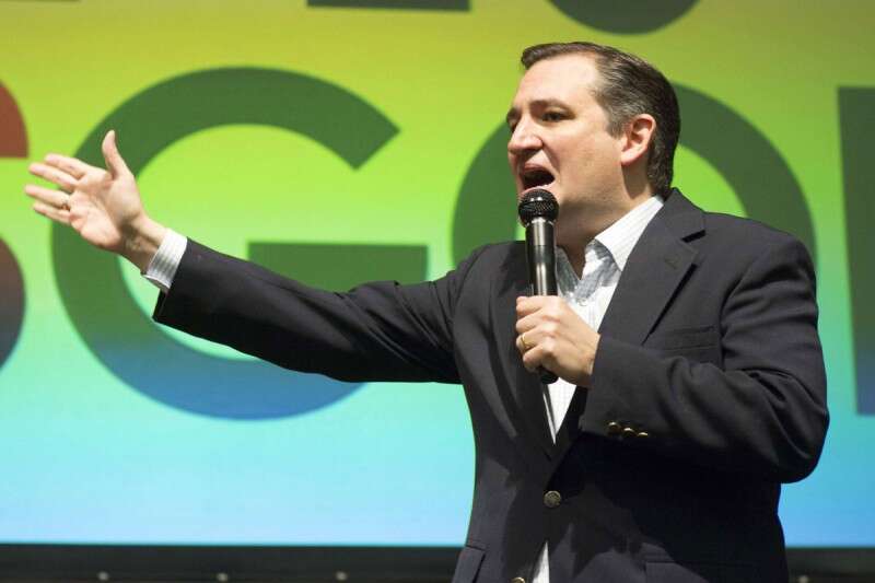 קרוז. הבהיל את בלומברג // צילום: איי.אף.פי