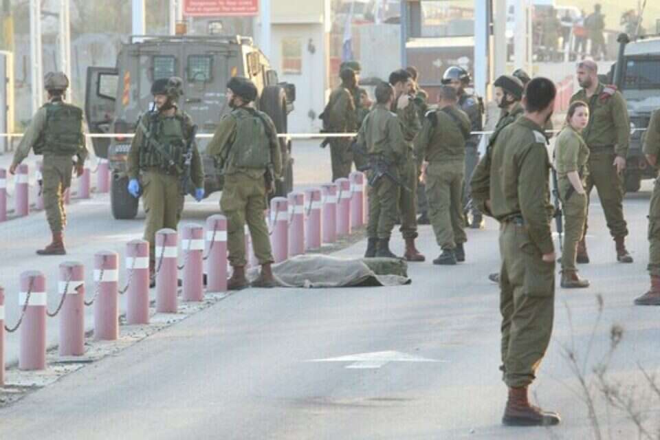זירת ניסיון הפיגוע // צילום: הלל מאיר/TPS // זירת ניסיון הפיגוע // צילום: הלל מאיר/TPS ,