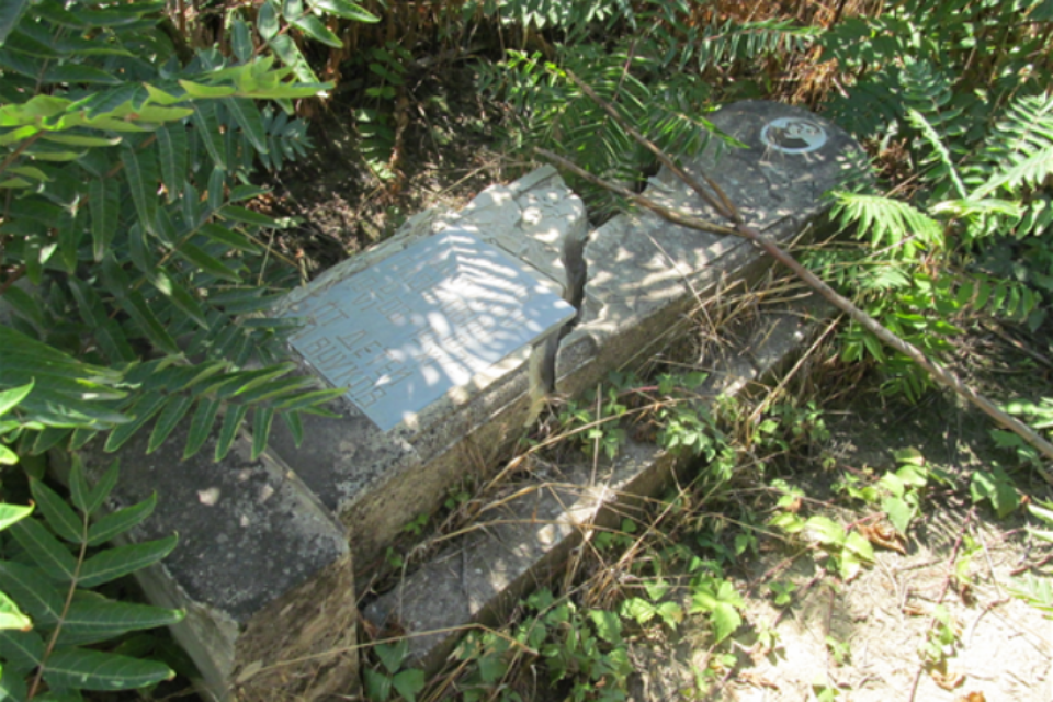 צילום: // ,