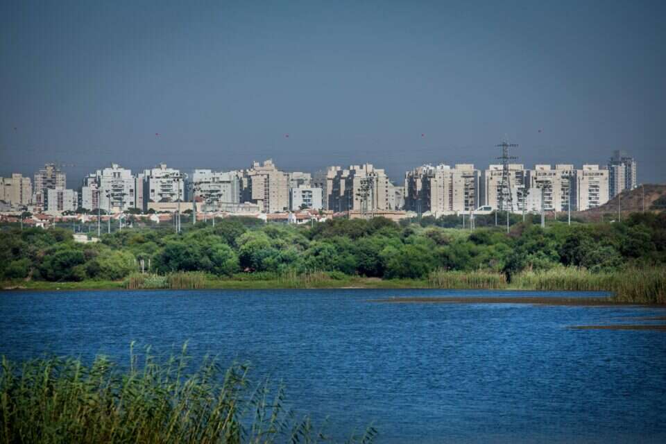 צילום: משה שי // השעמום הוא לא קללה. מערב ראשון לציון ,