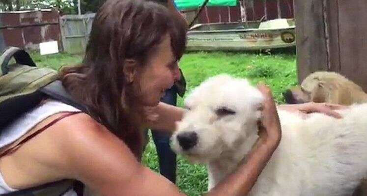 "ישר זיהה אותי". צ'רלי ואורסולה בפגישתם המרגשת // צילום: יוטיוב