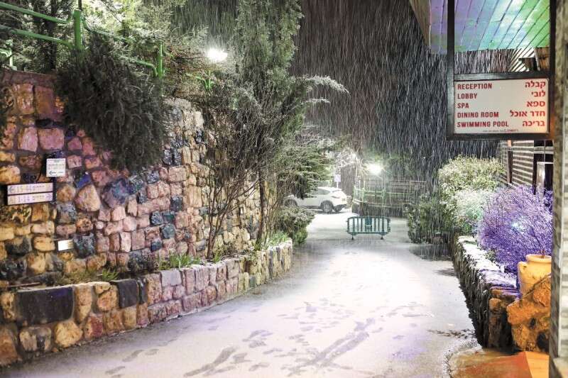 כפר הנופש נווה אטי"ב // צילום: בן פרידמן