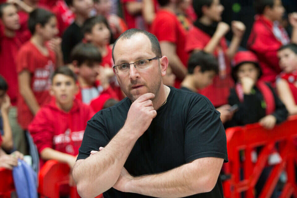גיא הראל , אלן שיבר