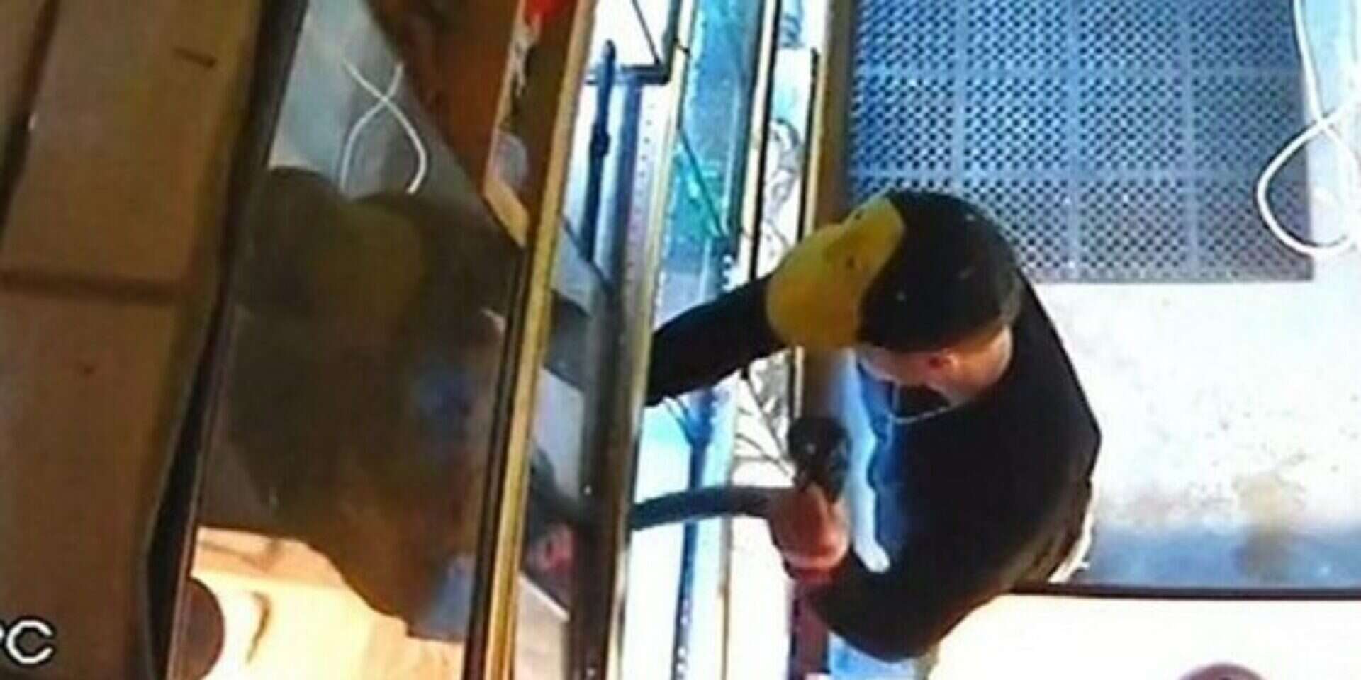 זרק את הנחש למכנסיים ויצא. הגנב בפעולה // צילום: טוויטר // זרק את הנחש למכנסיים ויצא. הגנב בפעולה , 